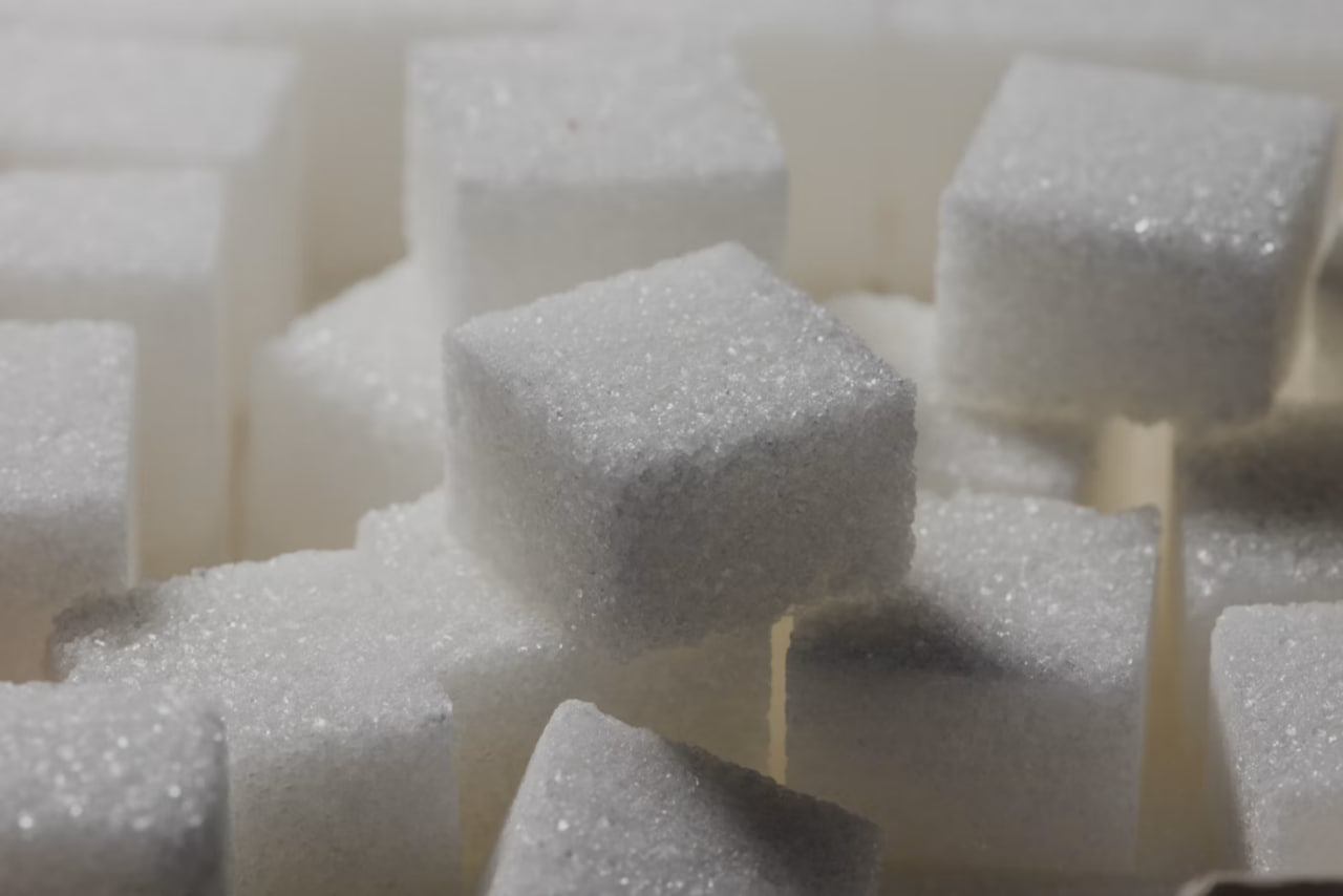 Nyugodt, természetközeli wellness környezet